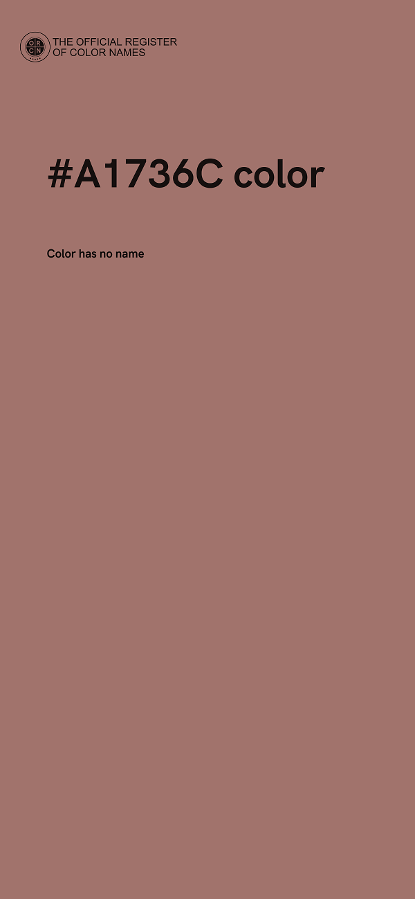 #A1736C color image