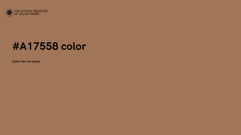 #A17558 color image