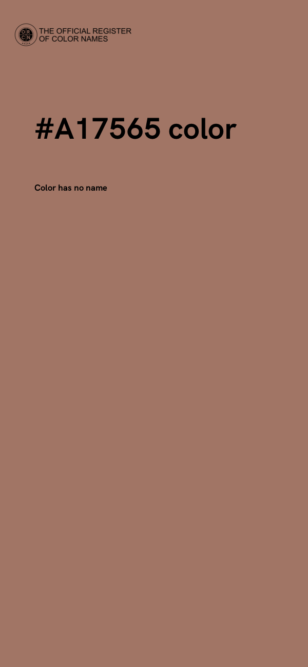 #A17565 color image