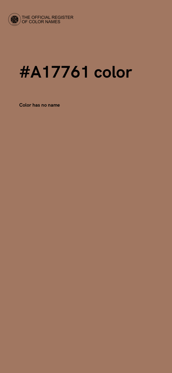#A17761 color image