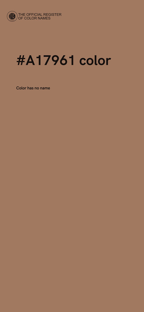 #A17961 color image