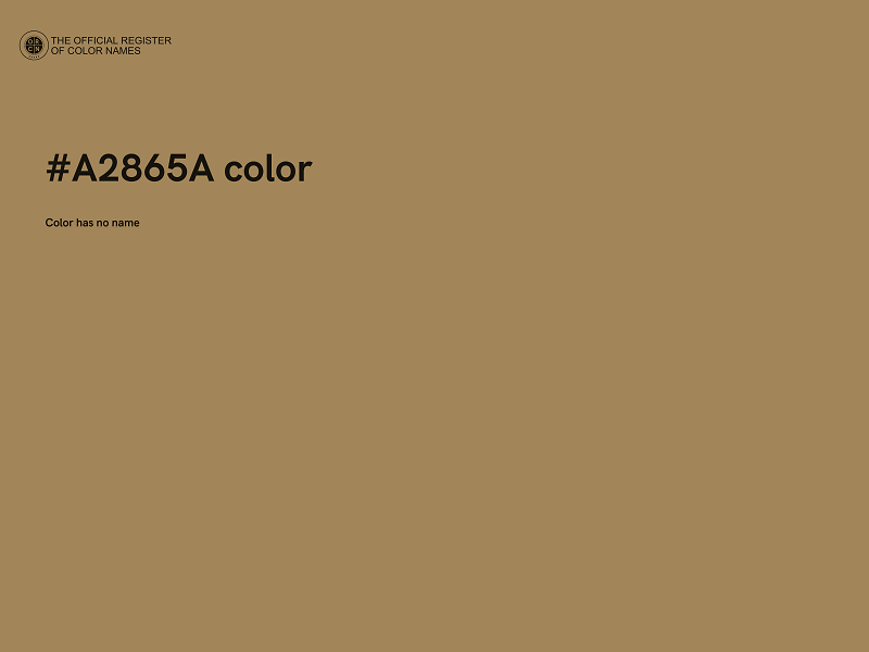 #A2865A color image