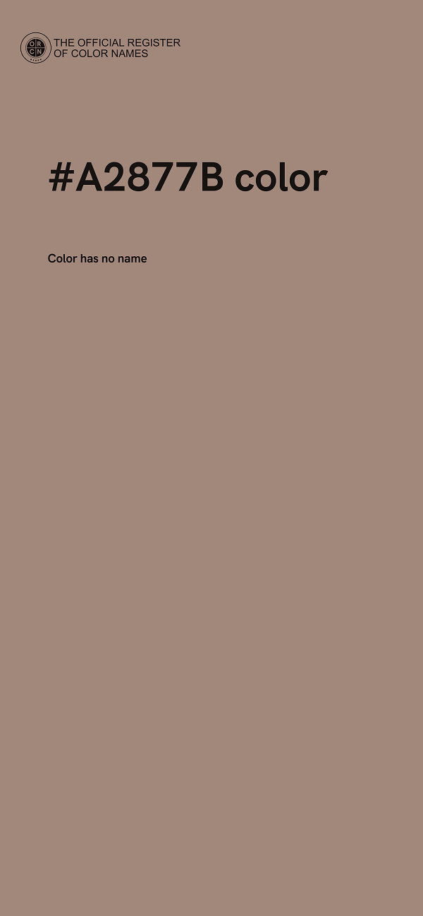 #A2877B color image