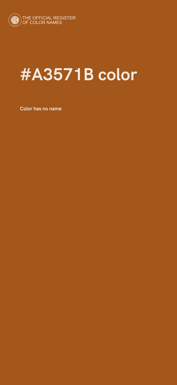 #A3571B color image
