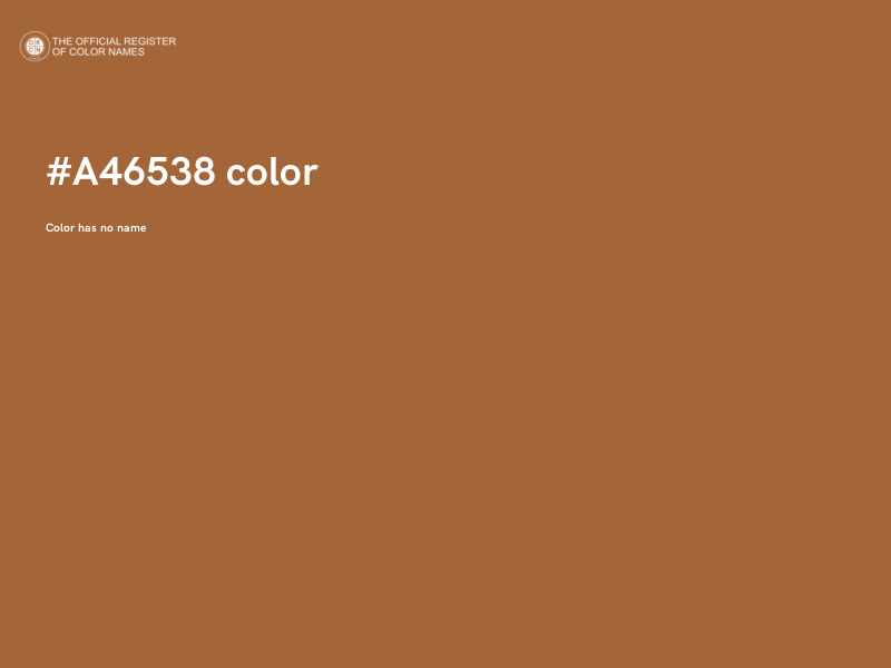 #A46538 color image