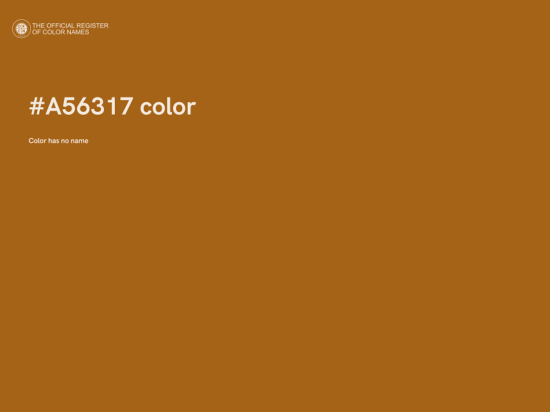 #A56317 color image
