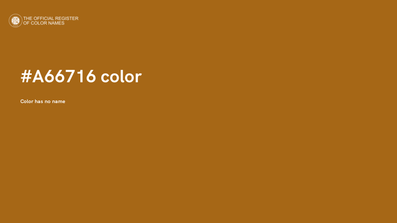 #A66716 color image