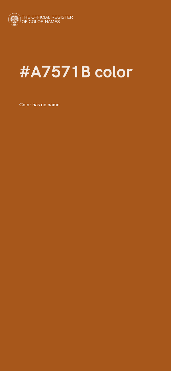 #A7571B color image