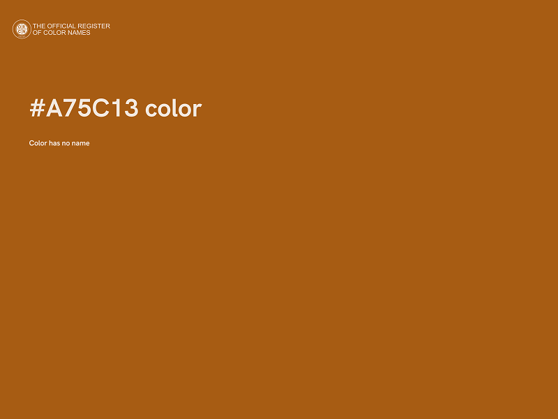 #A75C13 color image