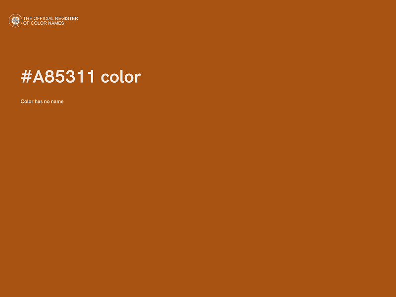 #A85311 color image