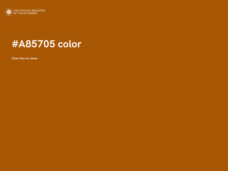 #A85705 color image