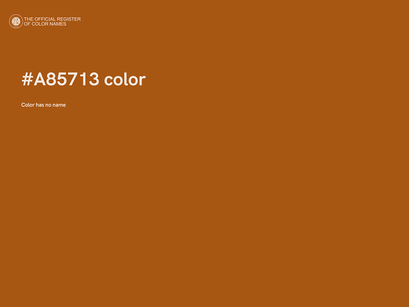 #A85713 color image