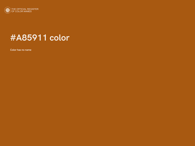 #A85911 color image