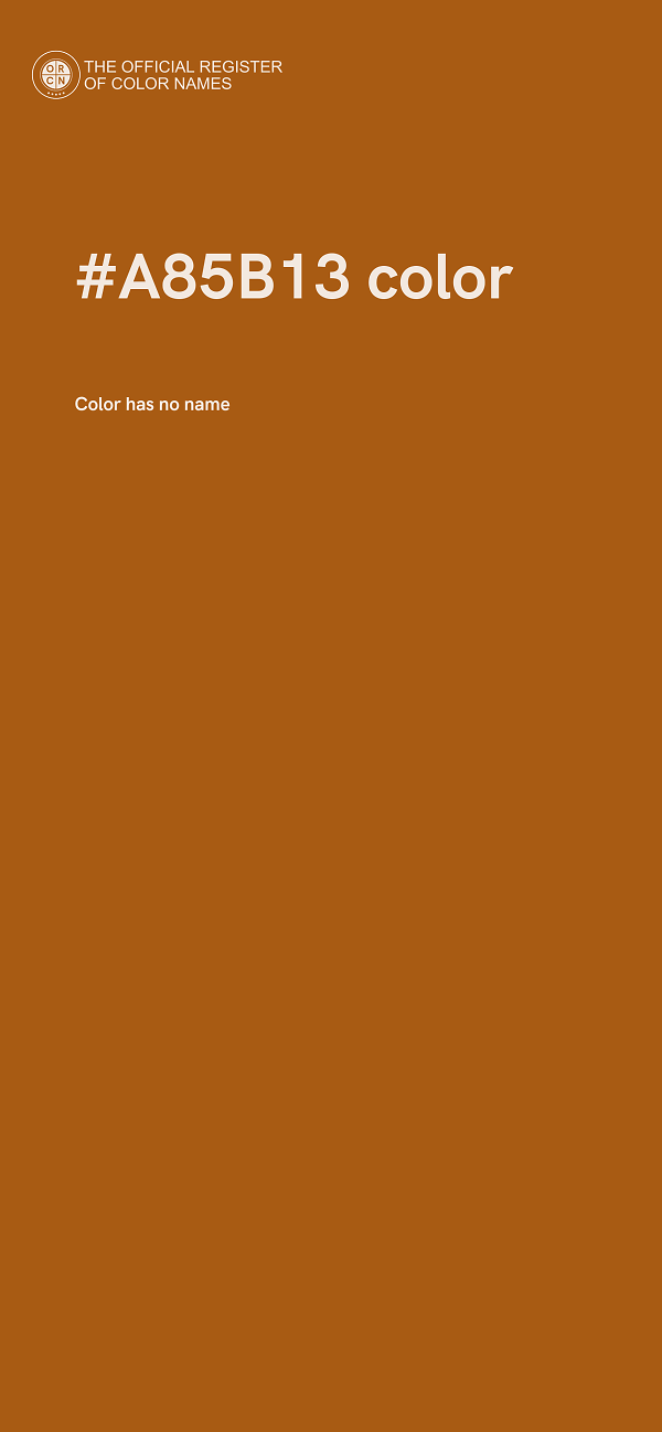 #A85B13 color image