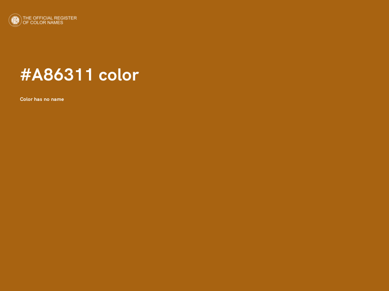 #A86311 color image