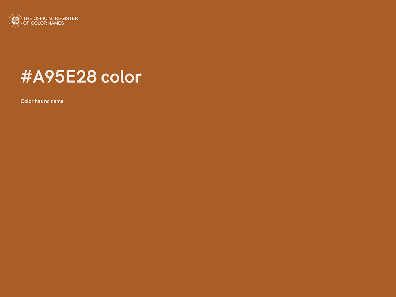 #A95E28 color image