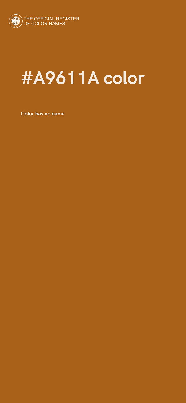 #A9611A color image