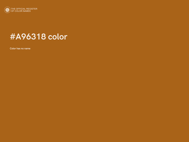 #A96318 color image