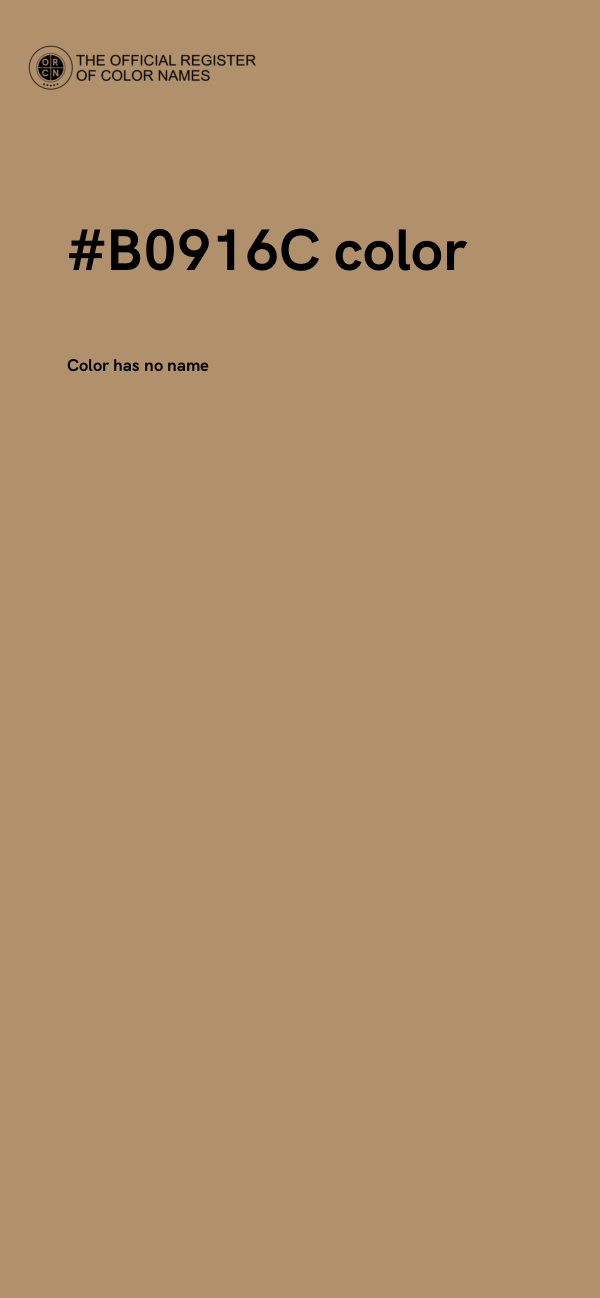 #B0916C color image