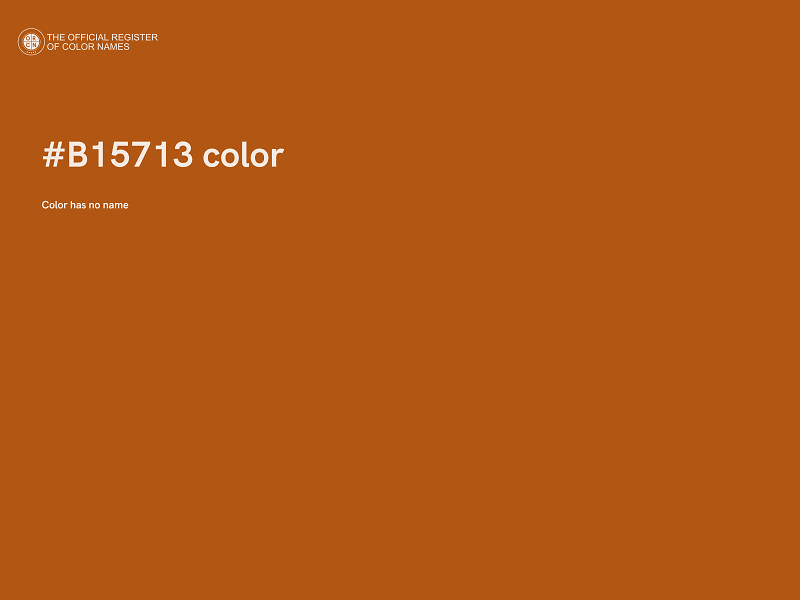 #B15713 color image