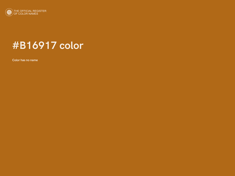 #B16917 color image