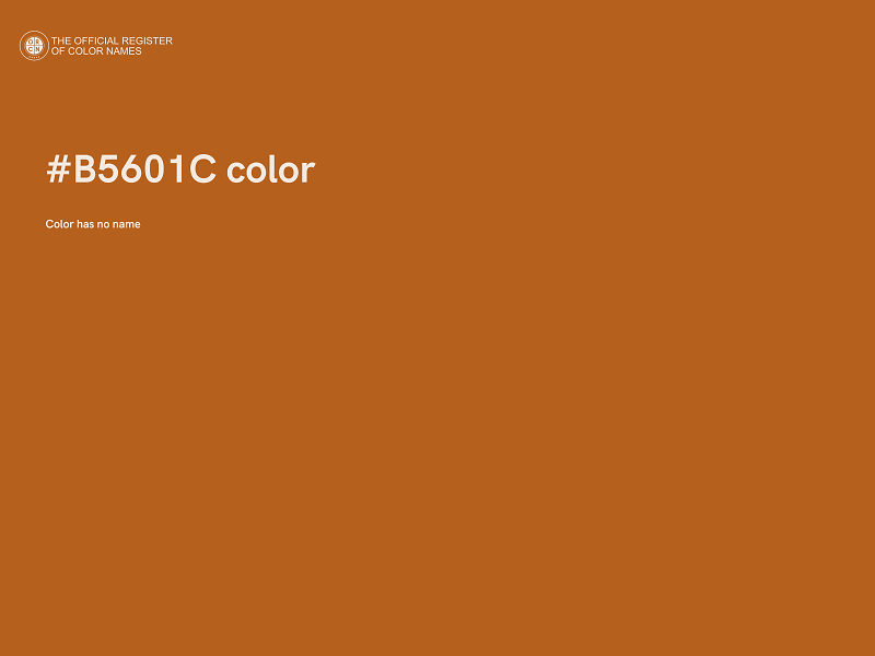 #B5601C color image