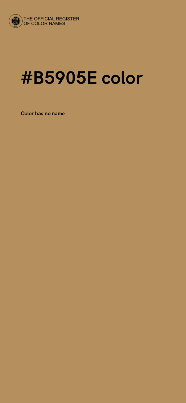 #B5905E color image