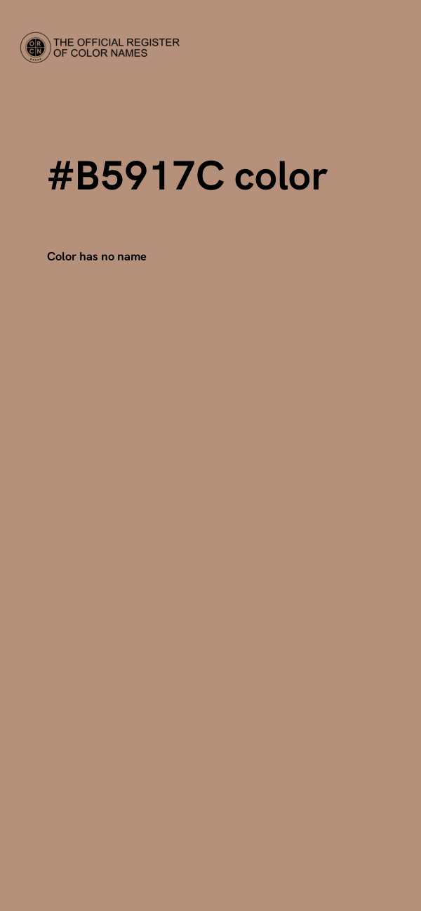 #B5917C color image