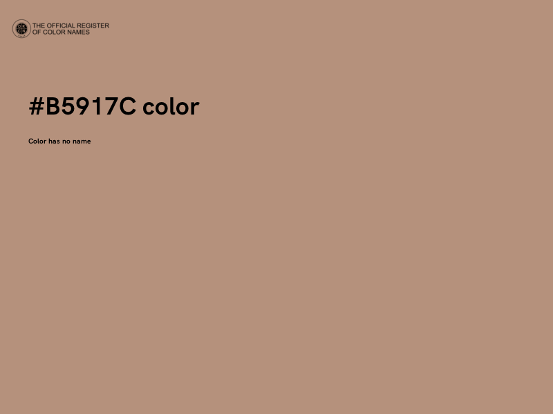 #B5917C color image