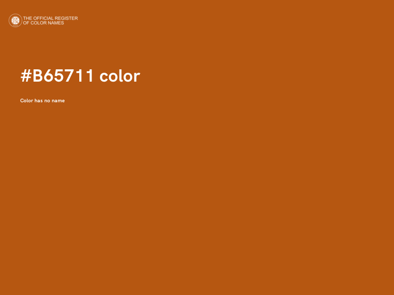#B65711 color image