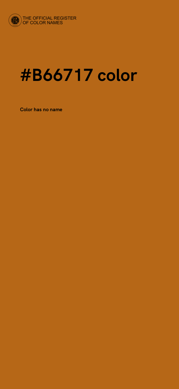 #B66717 color image