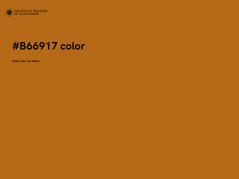 #B66917 color image