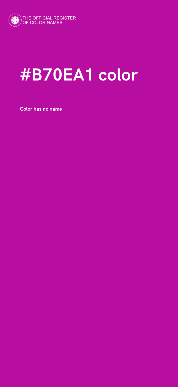 #B70EA1 color image