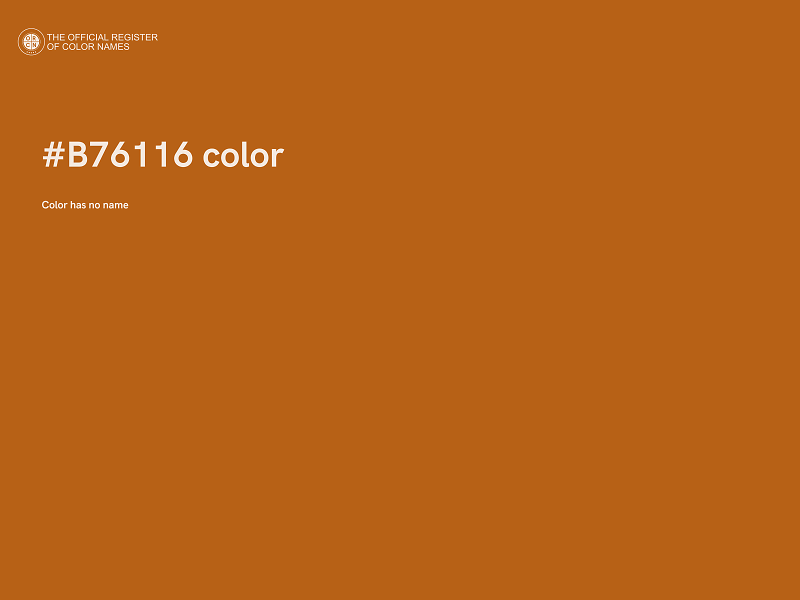 #B76116 color image
