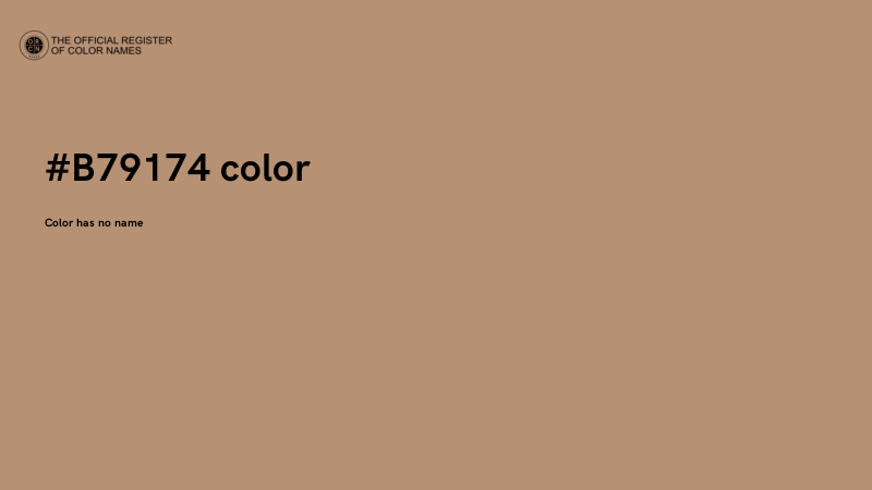 #B79174 color image