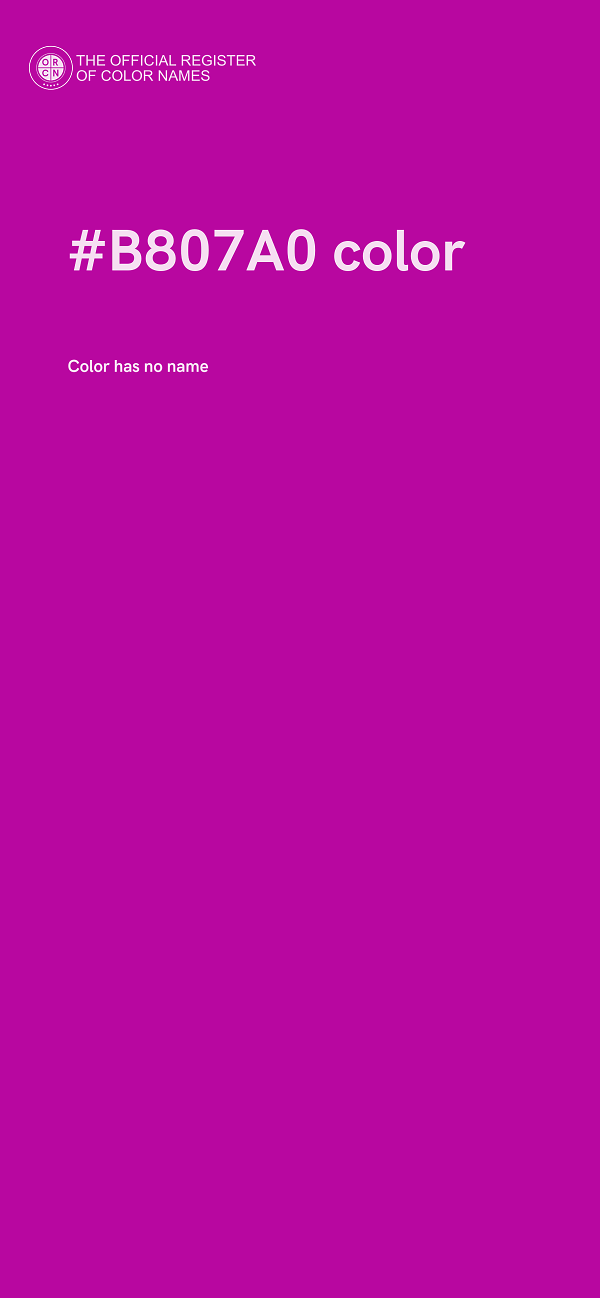 #B807A0 color image