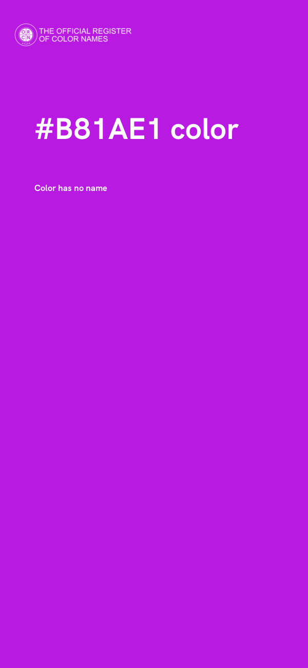 #B81AE1 color image