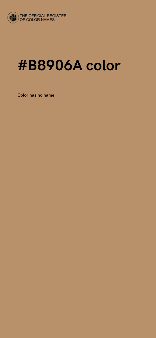 #B8906A color image