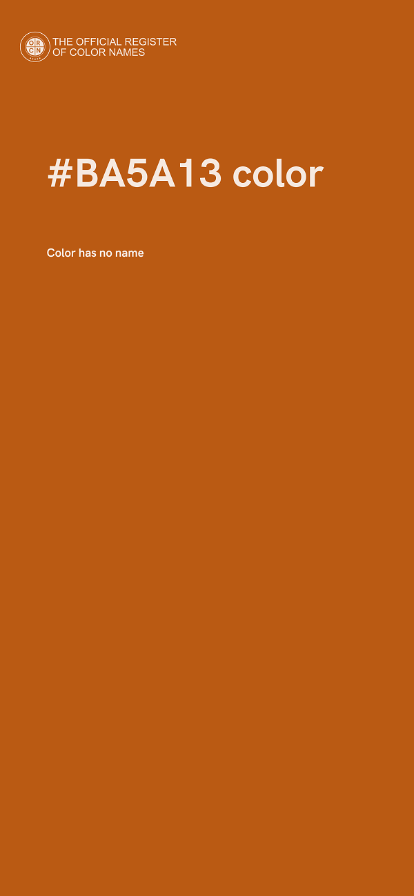 #BA5A13 color image