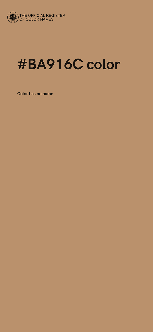 #BA916C color image