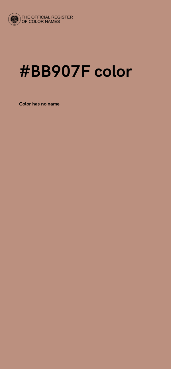 #BB907F color image