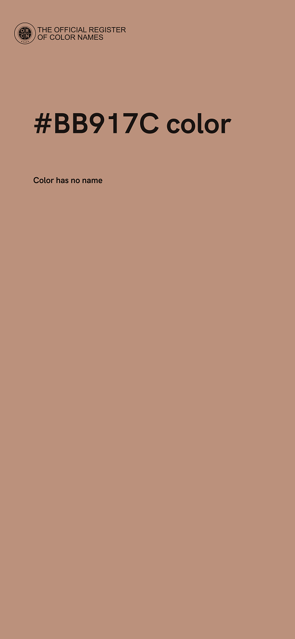 #BB917C color image
