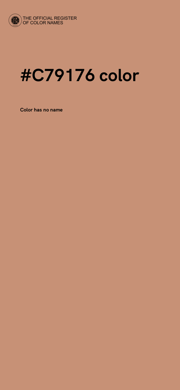 #C79176 color image