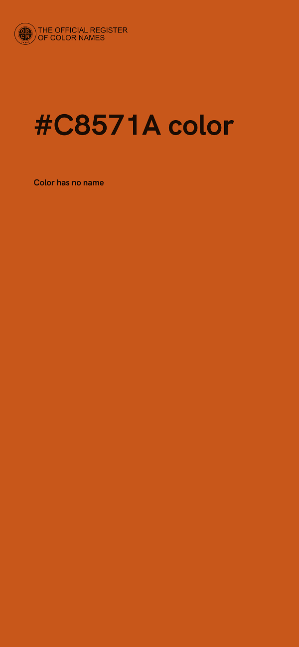 #C8571A color image