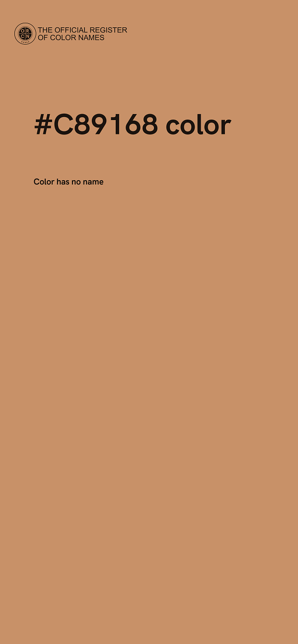 #C89168 color image