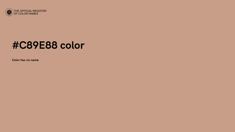 #C89E88 color image