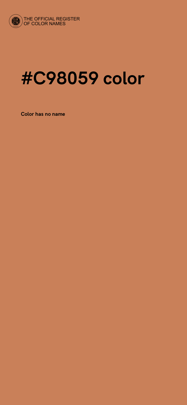 #C98059 color image