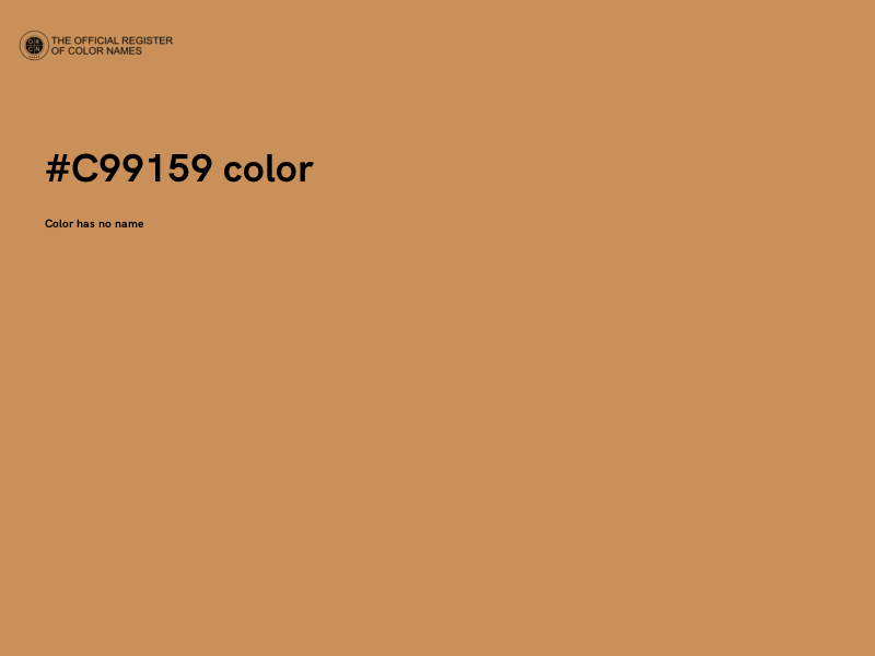 #C99159 color image