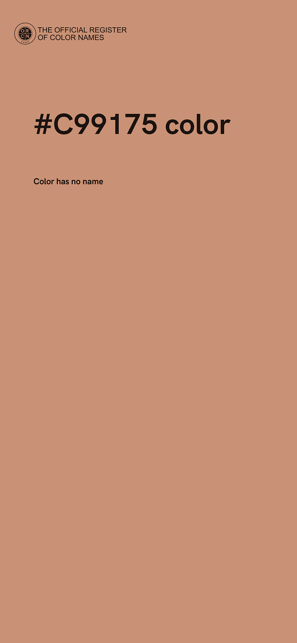 #C99175 color image