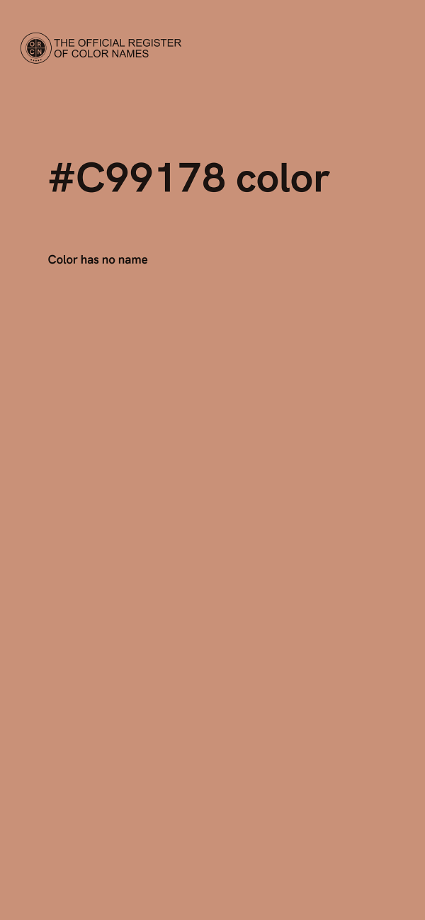#C99178 color image